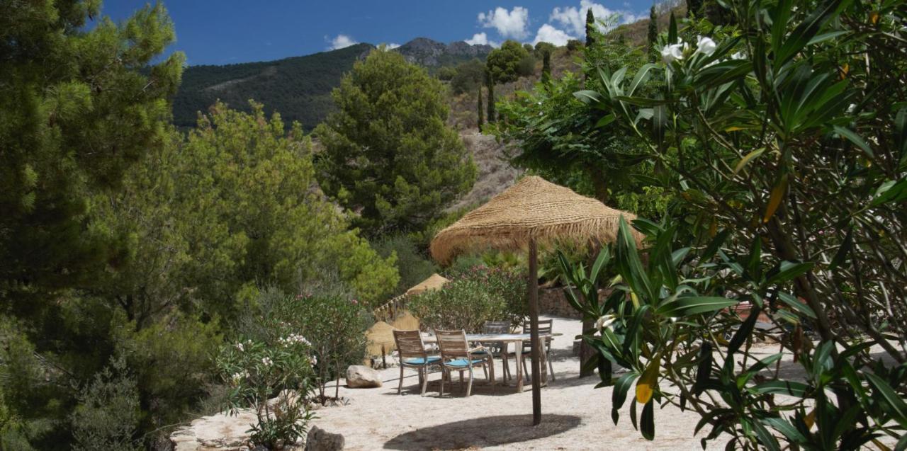 Boutique B&B El Refugio Alcaucín Екстериор снимка