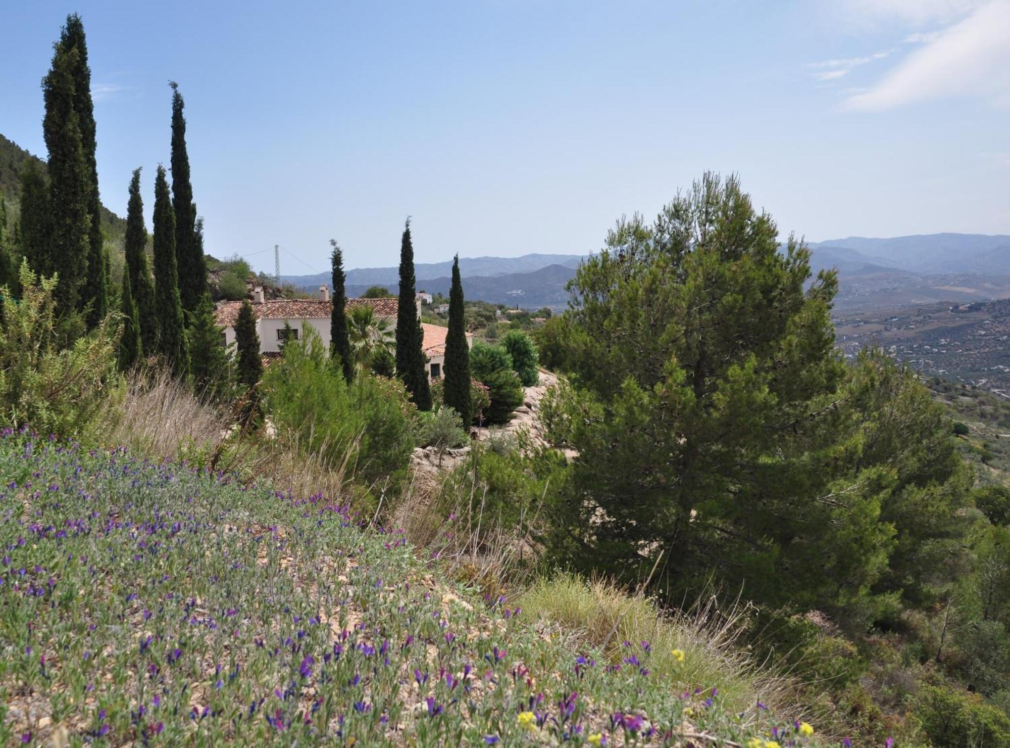 Boutique B&B El Refugio Alcaucín Екстериор снимка